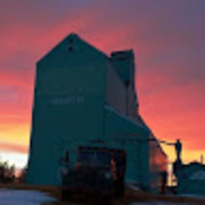 Meet your Posher, Tamara